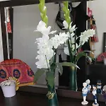 Cozy In Apartamento Balchik